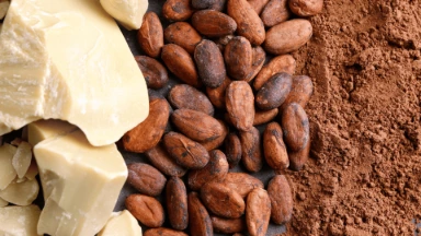 natural-and-alkalized-dutch-processed-cocoa-powder