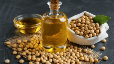 refined-deodorized-soybean-oil-flexitank-bulk-shipment