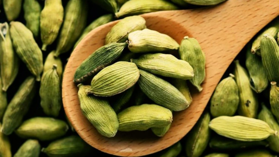 green-cardamom-bold-8mm-pods-export-quality