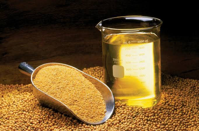 refined-deodorized-soybean-oil-flexitank-bulk-shipment