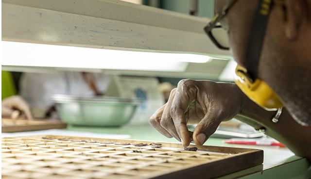 Agricultural commodity quality inspection Africa