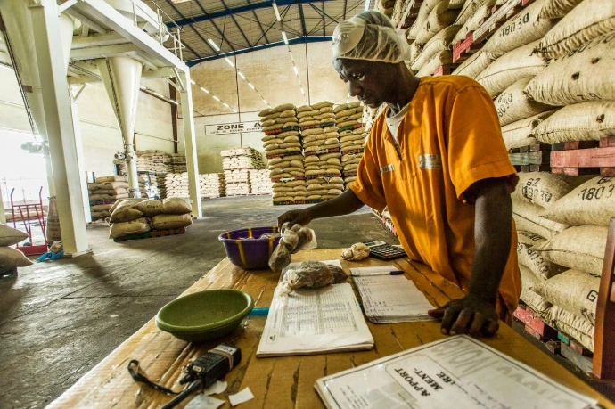 African agricultural commodity suppliers and sourcing