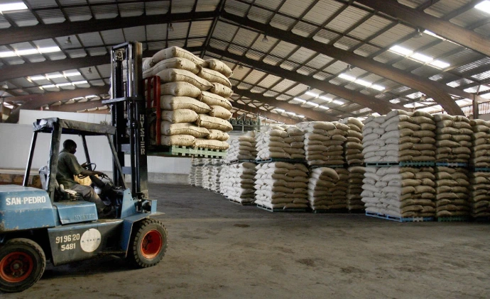 Cashew kernel suppliers in Africa